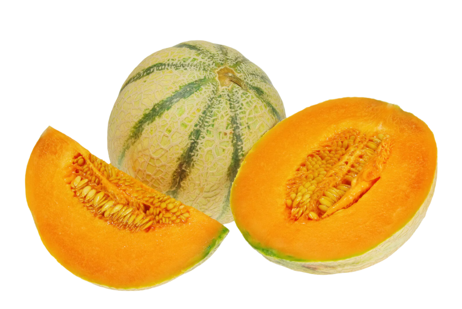 Organic Dry Farmed Charentais Melon - EACH