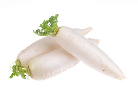 Organic Daikon - PER LB