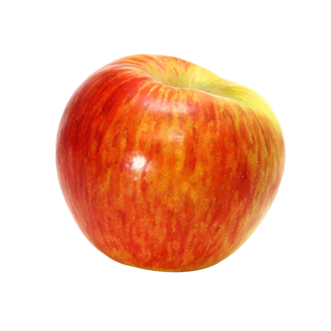 Organic Cox Orange Pippen Apple - EACH