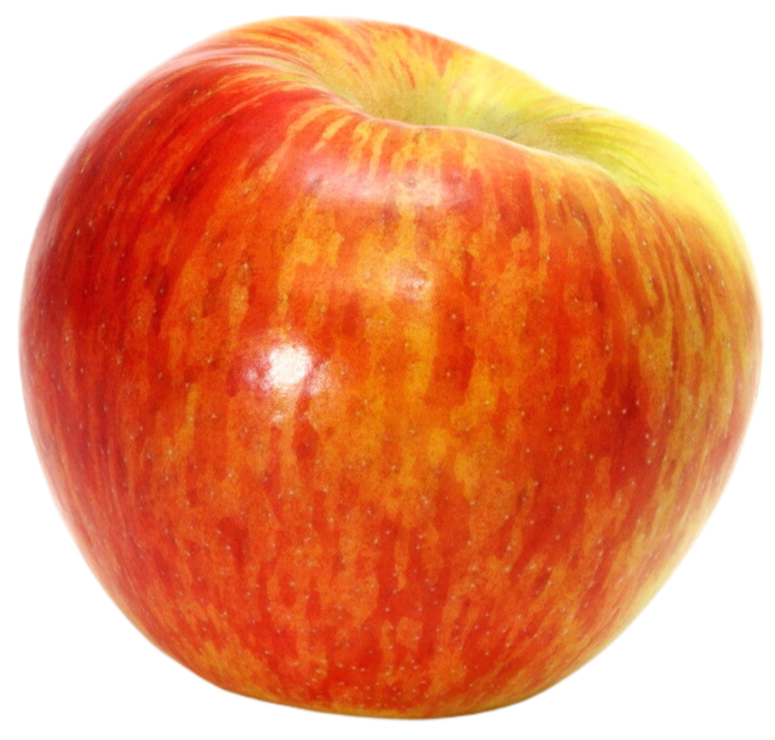 Organic Sugar Bee Apple - EACH
