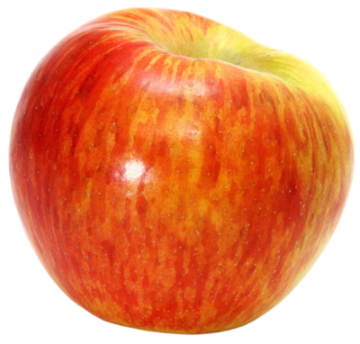 Organic Zestar Apple - EACH