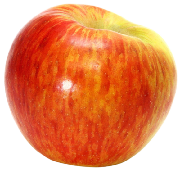 Organic Fuji Apple - EACH