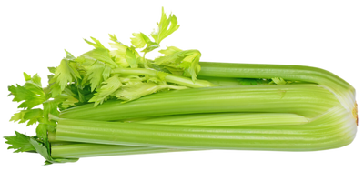 Organic Celery - EACH