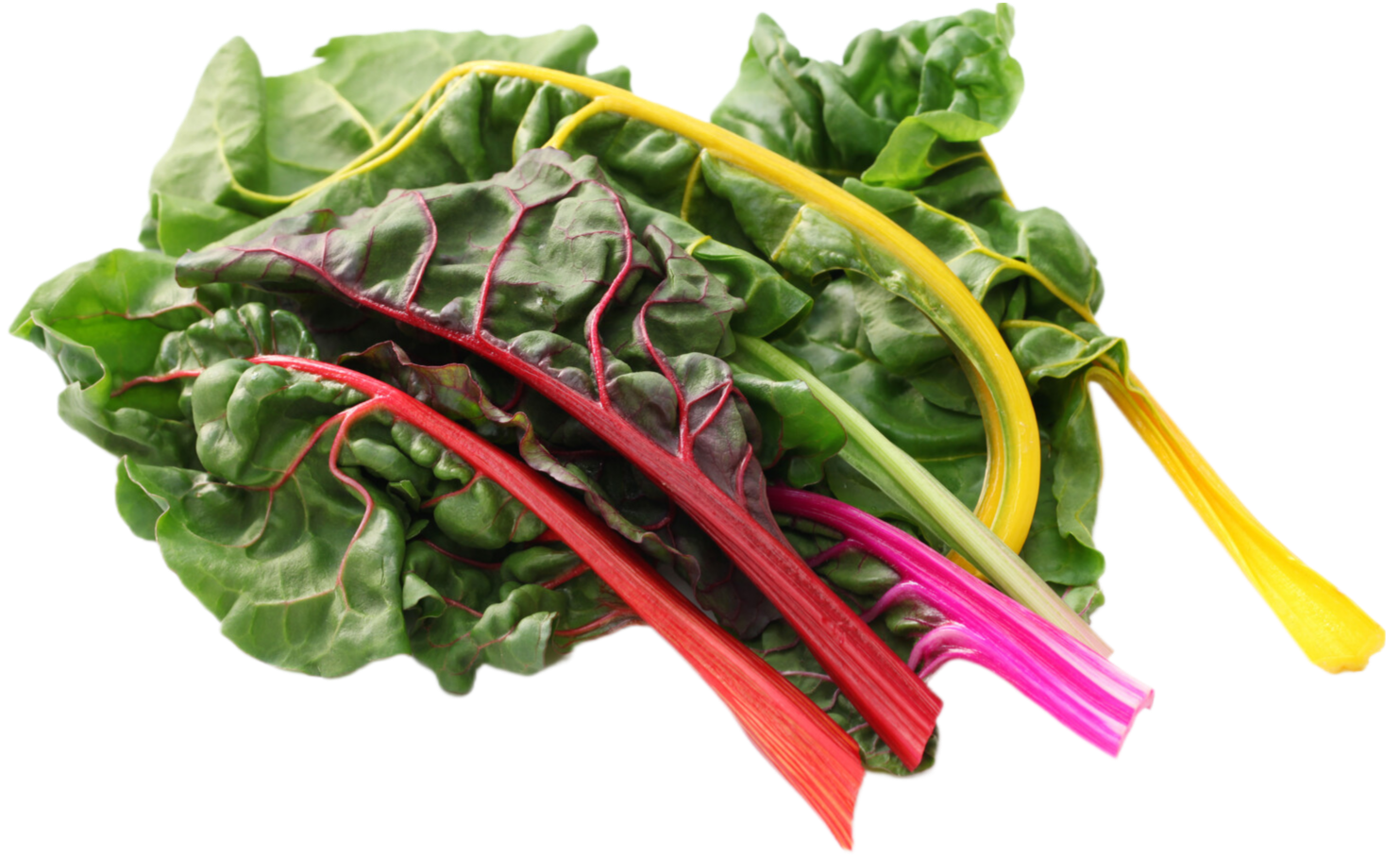 Organic Rainbow Chard - BUNCH