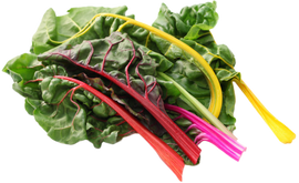 Organic Rainbow Chard - BUNCH