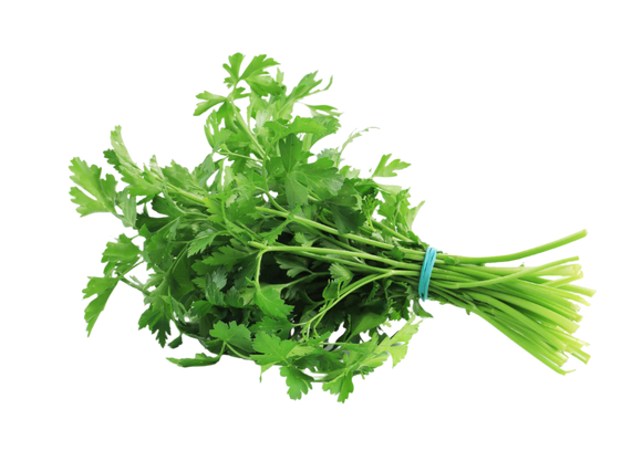 Organic Italian Parsley - BUNCH