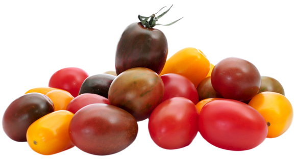 Organic Kaleido Cherry Tomatoes - PINT