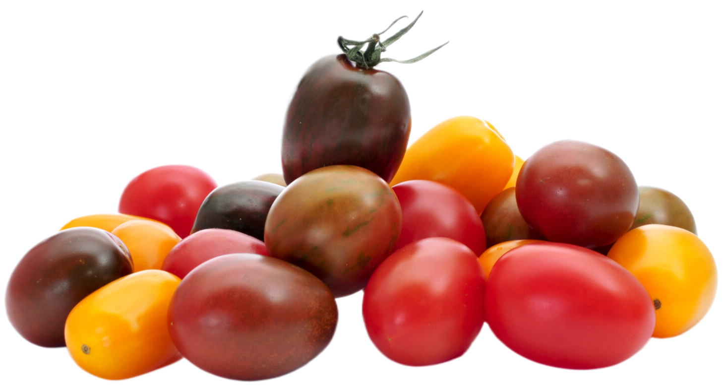 Organic Kaleido Tomatoes - PINT