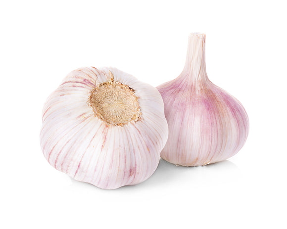 Locally Grown Organic Garlic - BULB