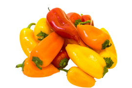 Organic Mini Sweet Peppers - PINT