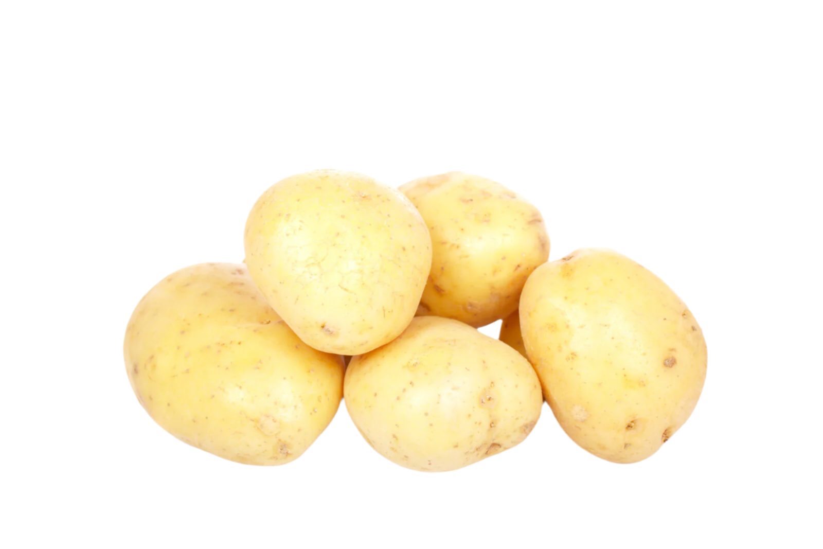 Organic Gold Potatoes - PER LB