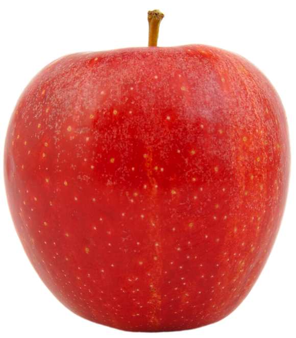 Red heirloom apple