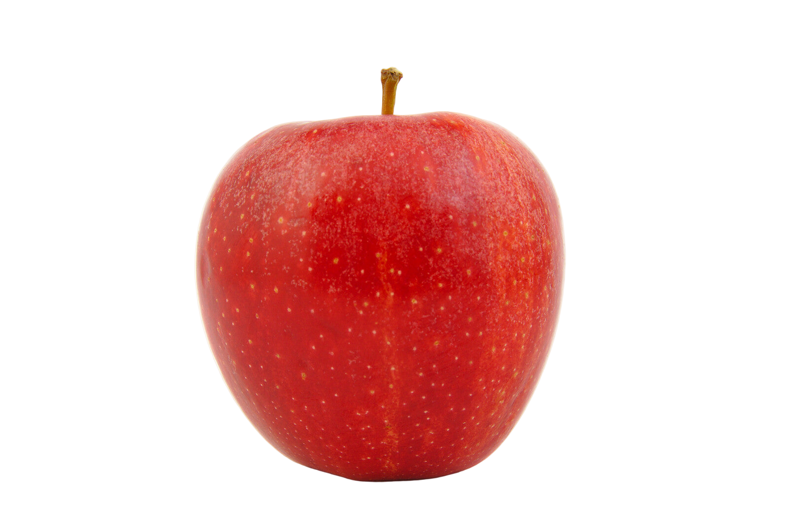 Organic Swiss Gourmet Apple - EACH