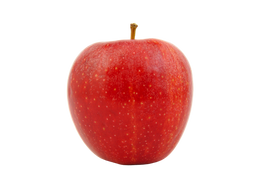 Organic Swiss Gourmet Apple - EACH