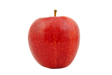 Organic Swiss Gourmet Apple - EACH