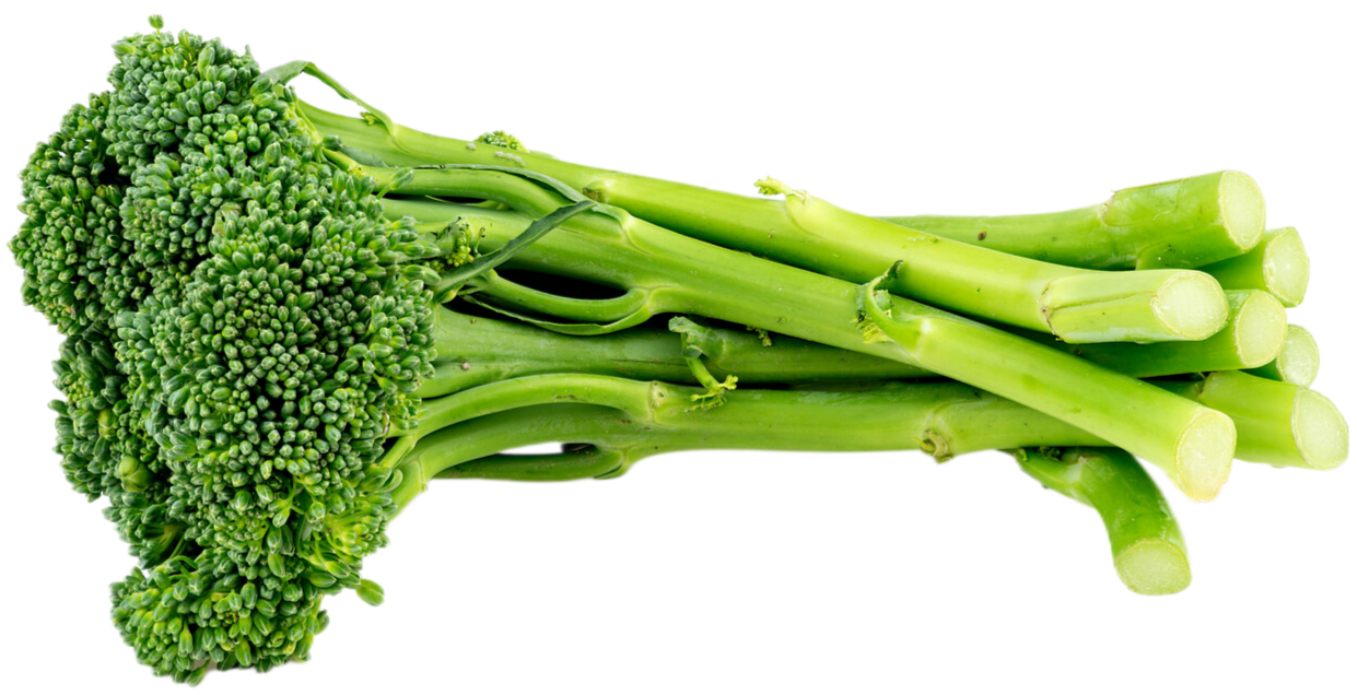 Organic Baby Broccoli - BUNDLE