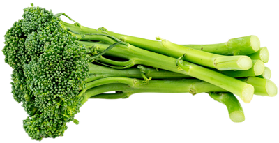 Organic Baby Broccoli - BUNDLE