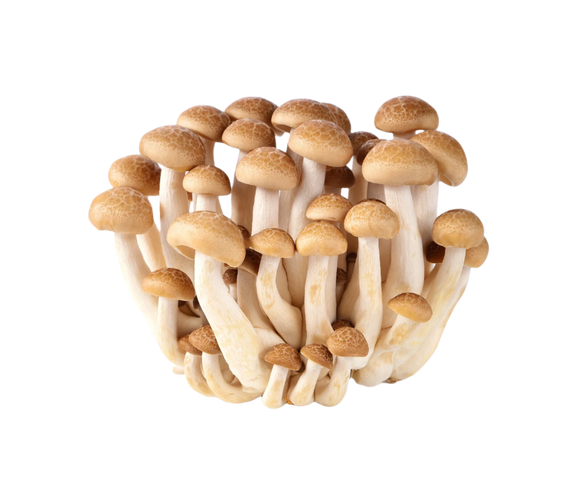 Organic Brown Beech Mushrooms - 1/2 PINT