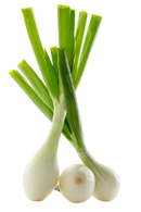Organic Spring Shallots - BUNCH-2
