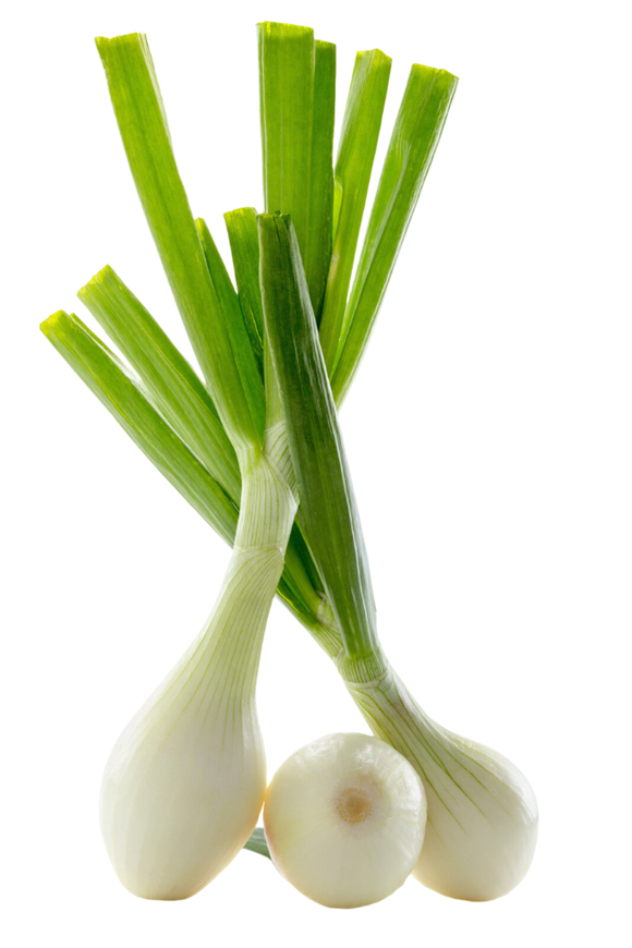 Organic Sweet Spring Onion - BUNCH