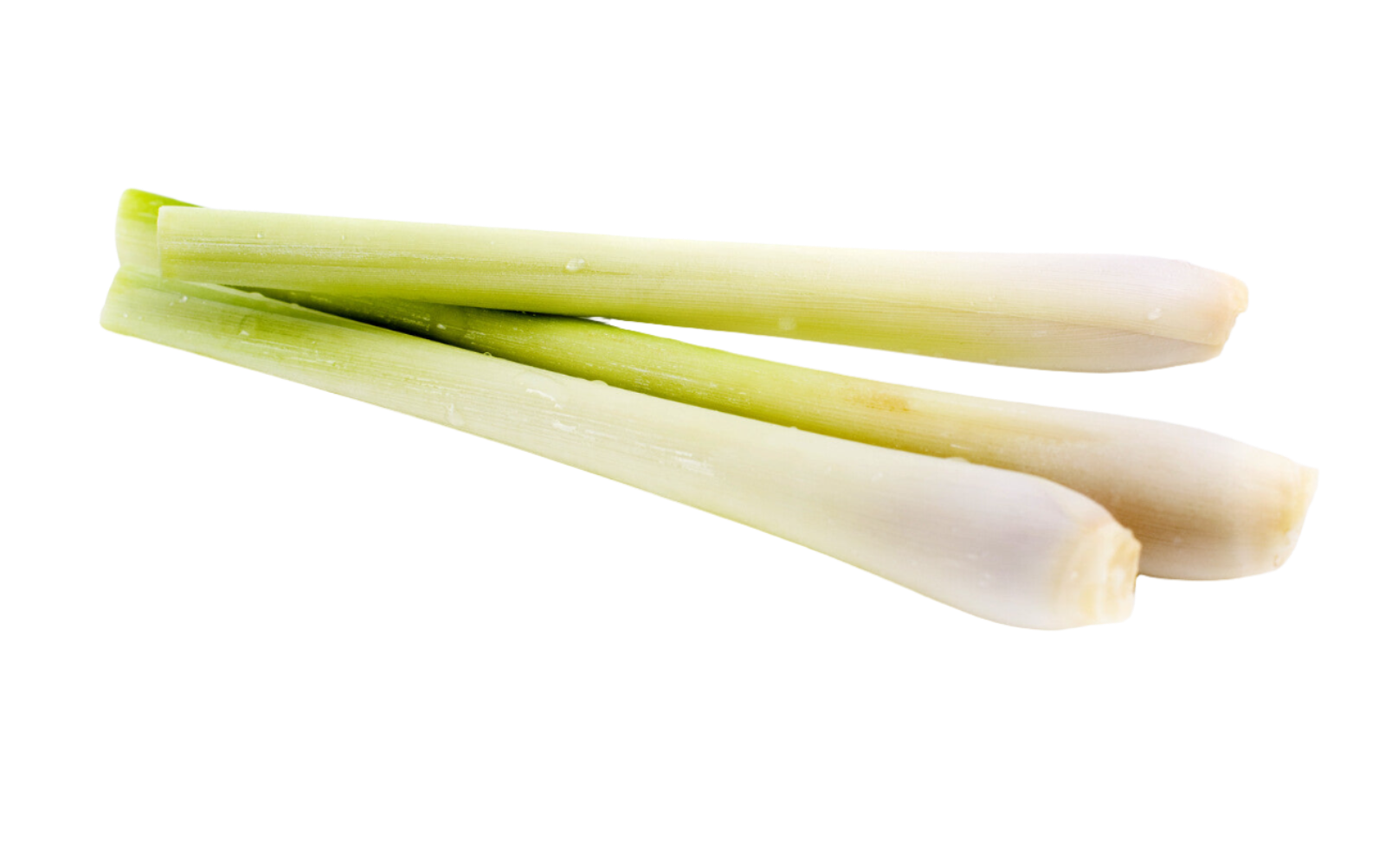 Organic Lemongrass - PER LB