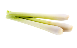 Organic Lemongrass - HALF POUND