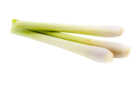 Organic Lemongrass - HALF POUND