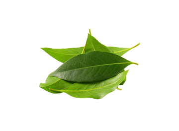 Organic Bay Leaves - .33 OZ