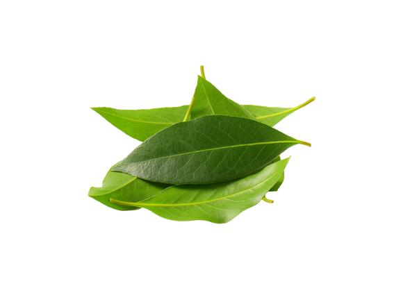 Organic Bay Leaves - .33 OZ