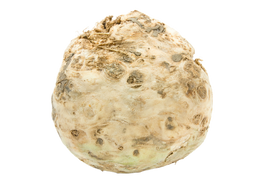 Organic Celeriac - PER LB