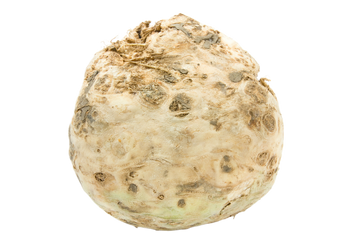 Organic Celeriac - PER LB