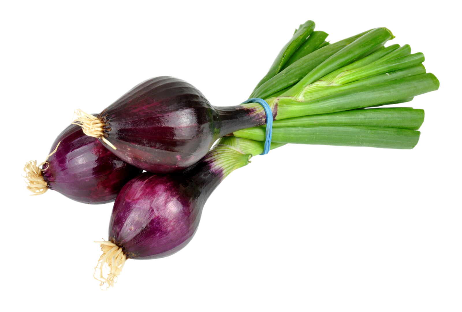 Organic Red Spring Onions - BUNCH