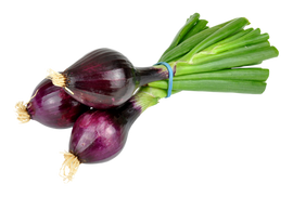 Organic Red Spring Onions - BUNCH