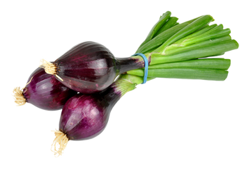 Organic Red Spring Onions - BUNCH