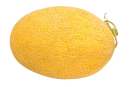 Organic Hami Melon - EACH-2