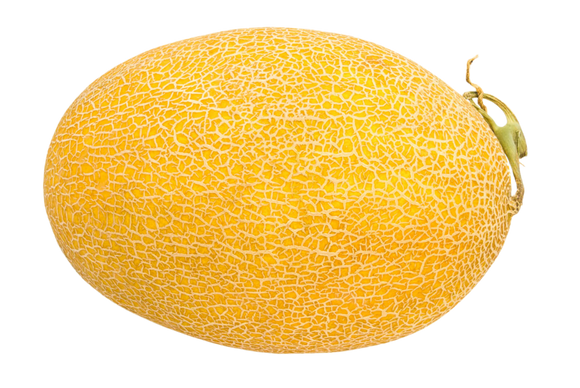 Organic Hami Melon - EACH