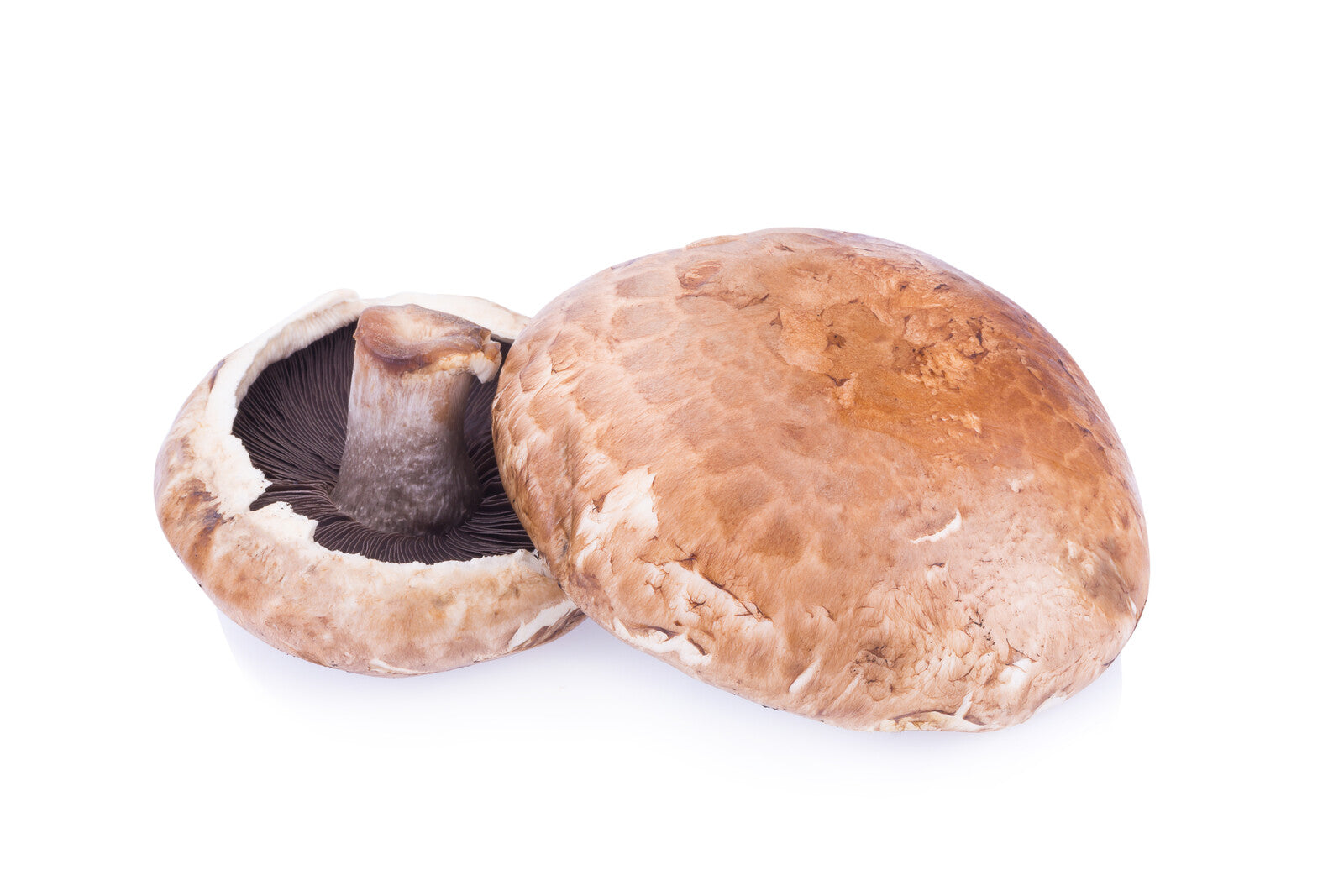 Organic Portabella Mushrooms - PER LB