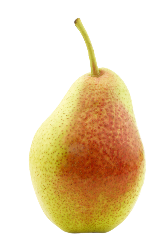 Organic Warren Pear - EACH