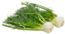 Organic Fennel - EACH-2