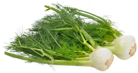 Organic Fennel - EACH