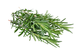 Organic Rosemary - BUNCH
