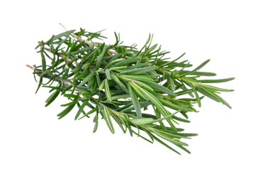 Organic Rosemary - BUNCH