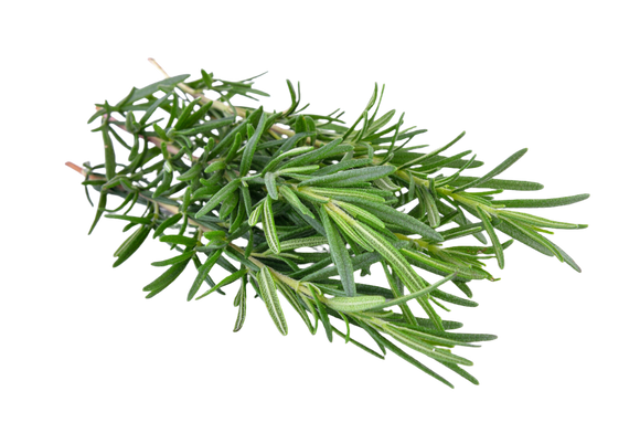 Organic Rosemary - BUNCH