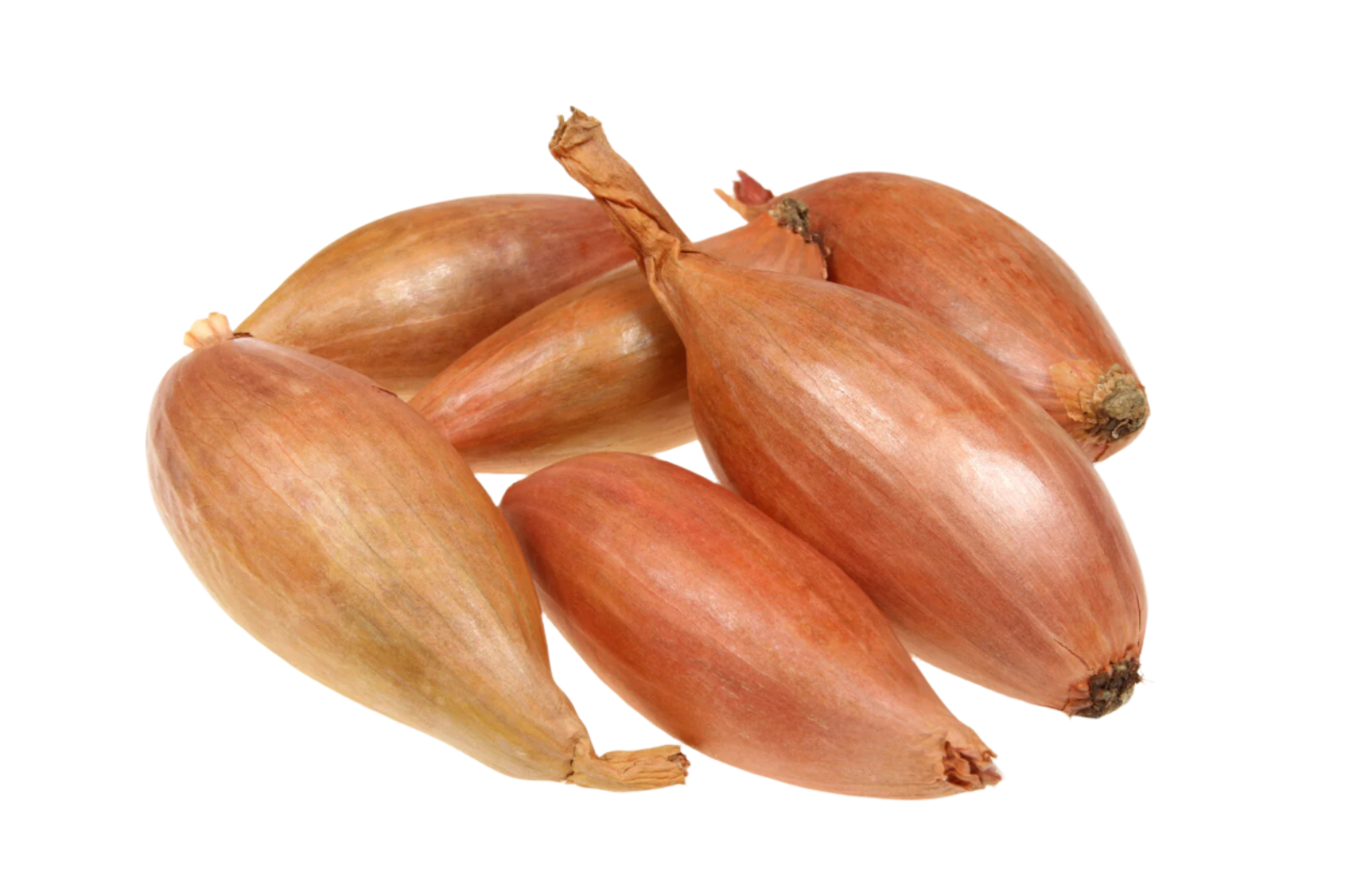 Organic Shallot - PER LB