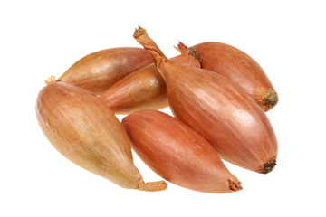 Organic Shallot - PER LB