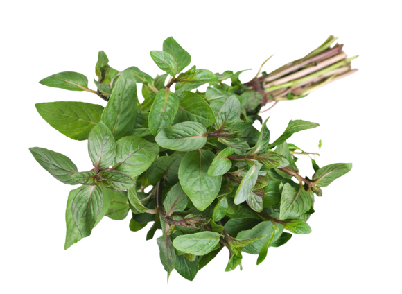 Organic Spearmint - BUNCH