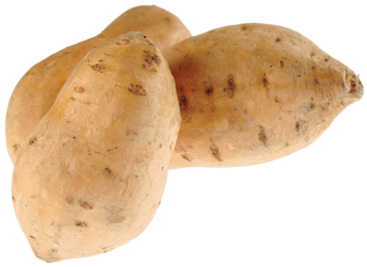 Organic White Sweet Potatoes - PER LB