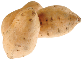 Organic White Sweet Potatoes - PER LB
