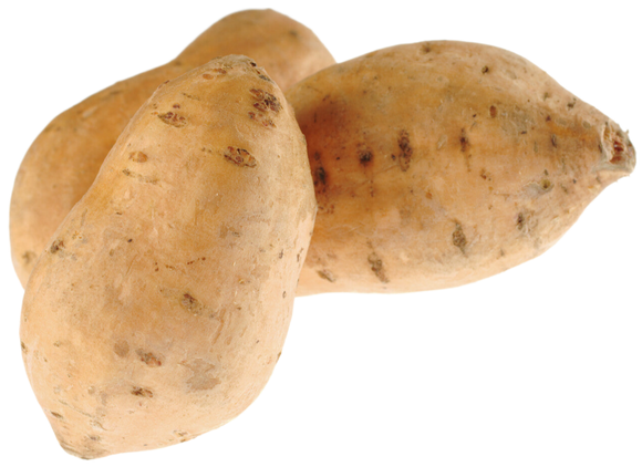 Organic White Sweet Potatoes - PER LB