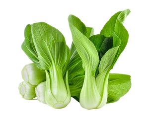 Organic Bok Choy - PER LB